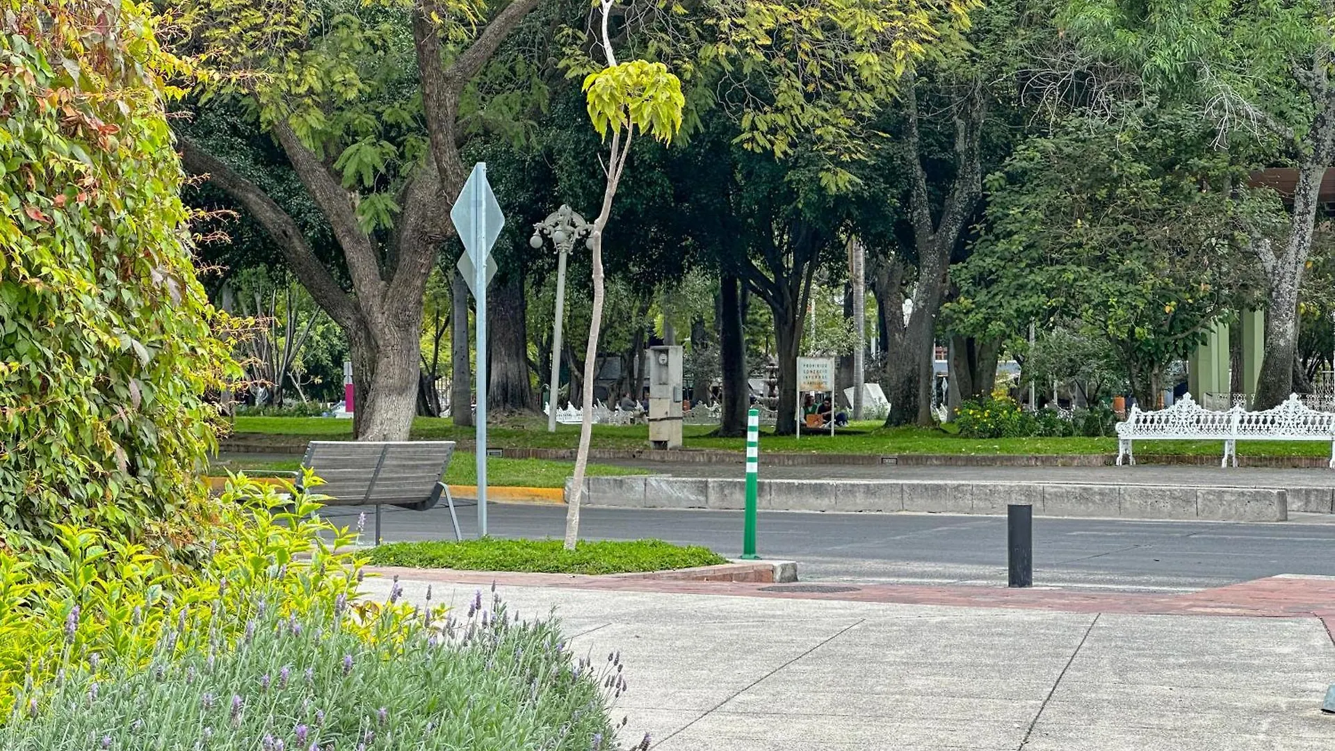 Estudio 3 /Glorieta Chapalita Guadalajara